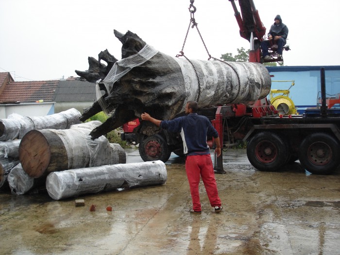 0015-14_14_big7279922