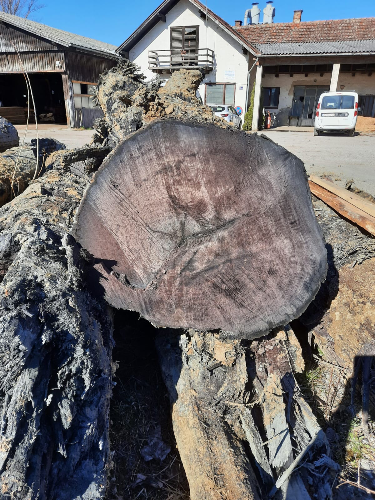 WhatsApp Image 2021-03-04 at 11.58.00